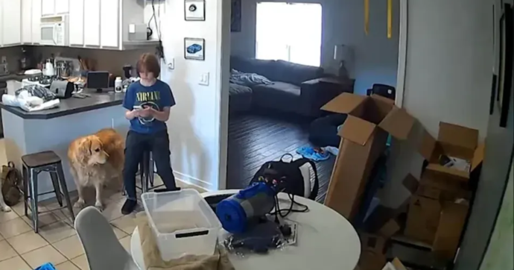 Image from the security camera