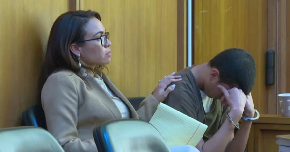 Derek Rosa: The 13-Year-Old Who Stabbed His Mother 46 Times