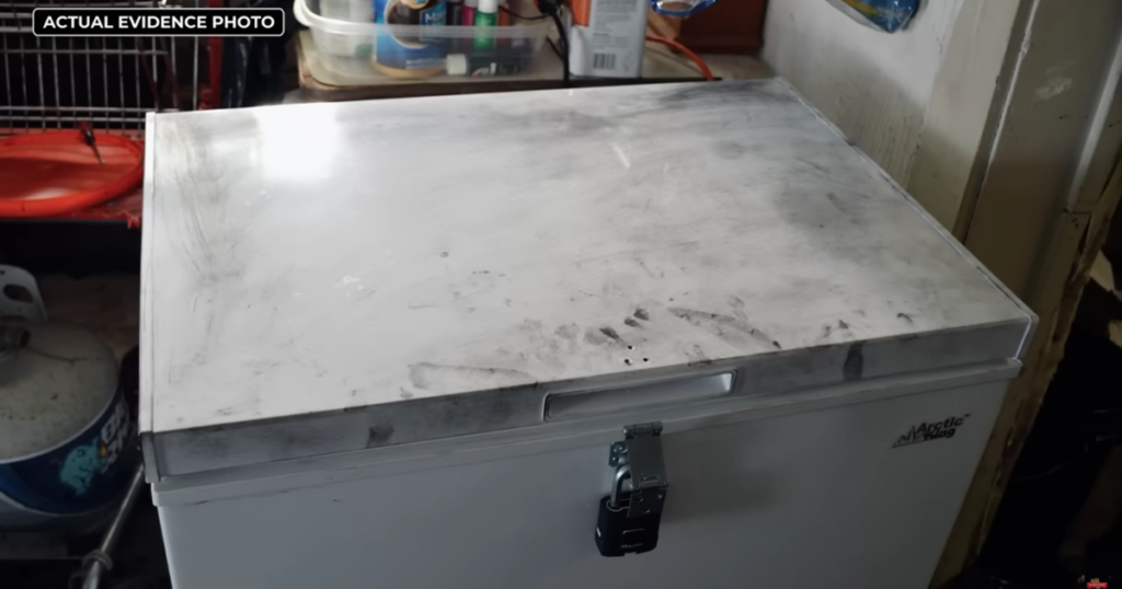 The Freezer