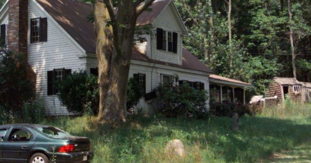 The horse farm